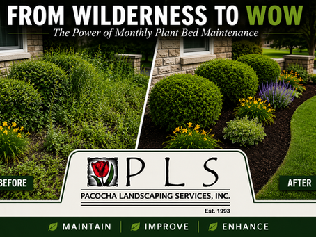 From Wilderness to Wow: The Power of Monthly Plant Bed Maintenance