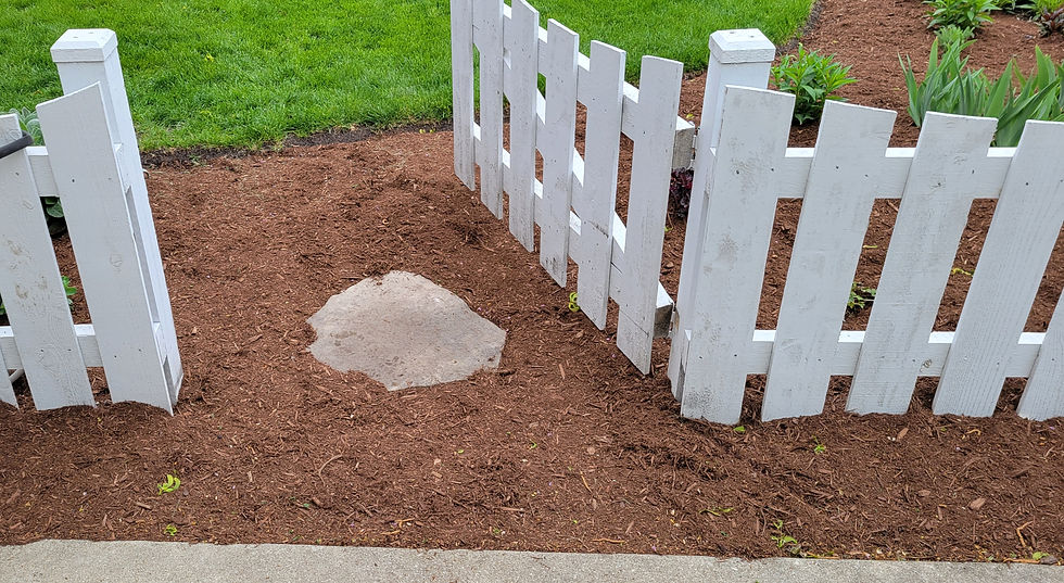 Fresh Mulch Within Landscape Bed