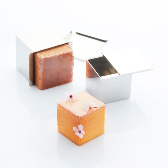 Stainless steel molds for Travel Cake