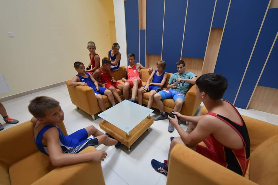 Vajdasági Birkózó Akadémia