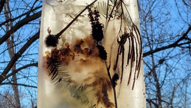 Create Frozen Luminarias 
