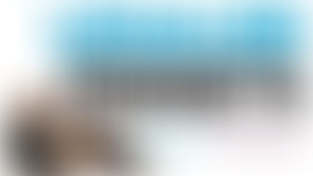 Legalize Ferrets in California: A Historic Opportunity