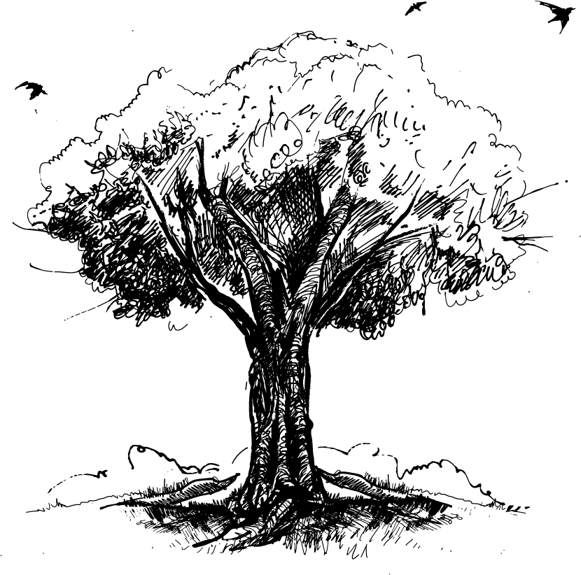 Asset 1.png