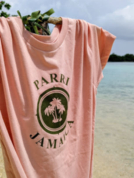 Close-up of a heather peach Parri Jamaica crew neck T-shirt with an army green palm logo, hanging on a stick by the shoreline