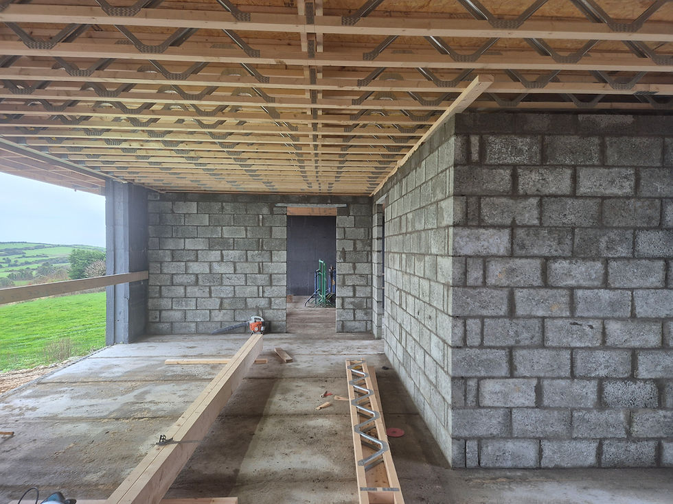 Residential construction project managed by main contractor in Ireland