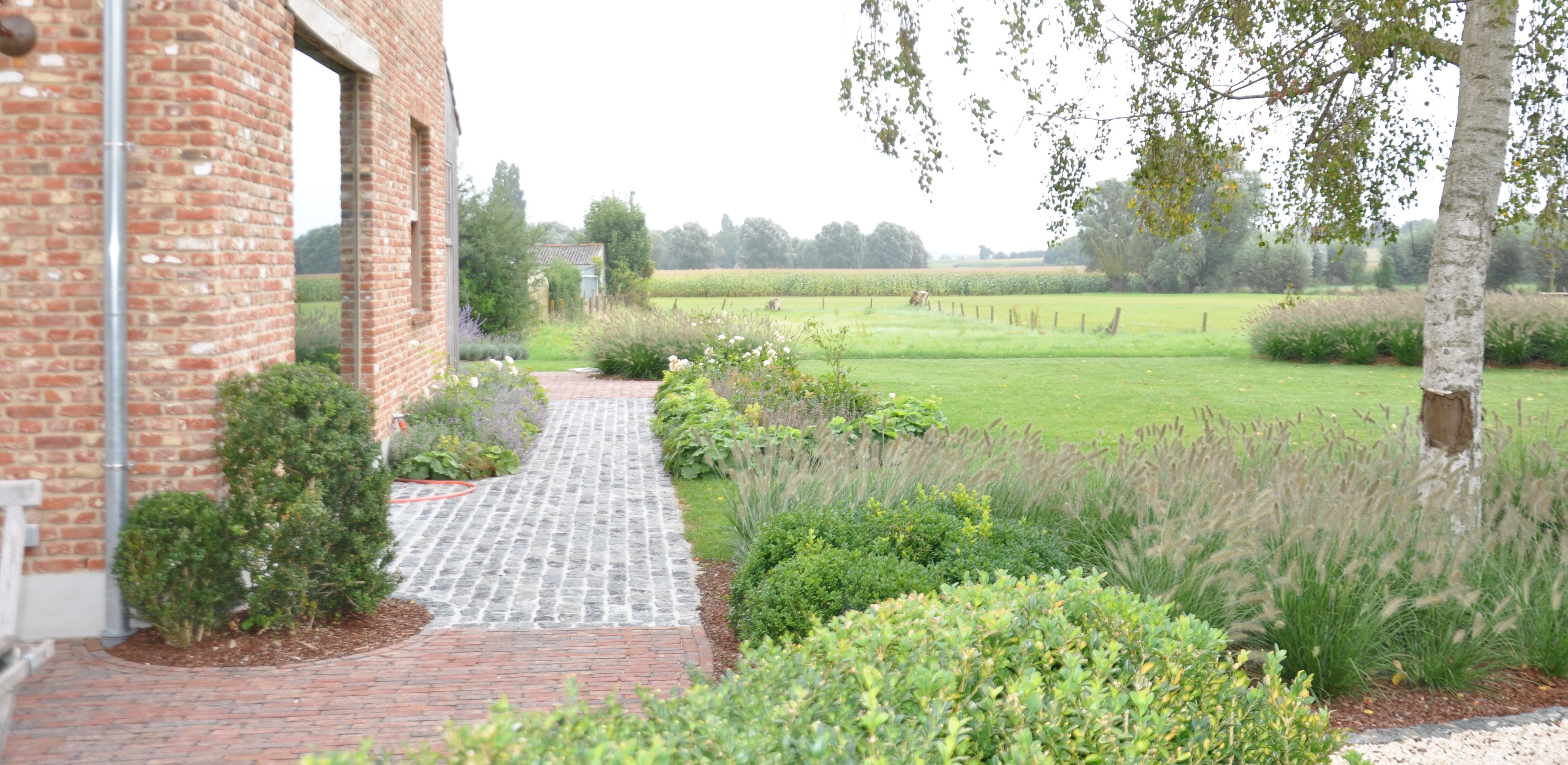 Rollegem