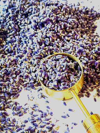 Culinary Lavender 1_edited_edited.jpg