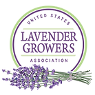 Logo of United States Lavender Growers
