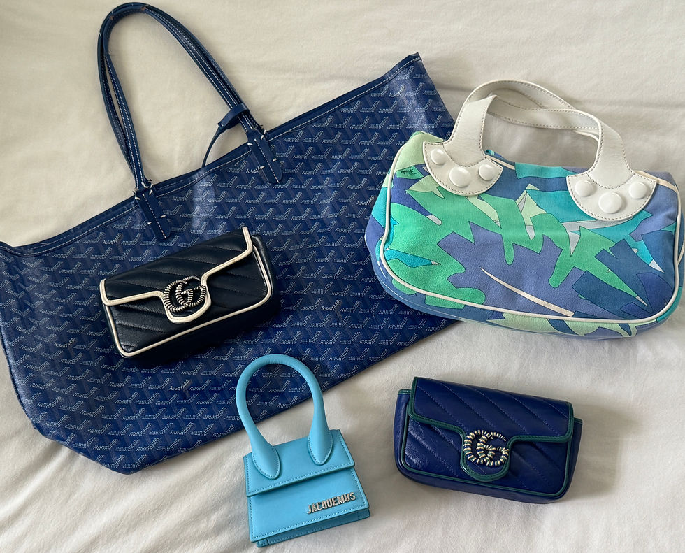 Goyard St. Louis, Gucci Marmont Torchons, Jacquemus le Bambino, Emilio Pucci bag