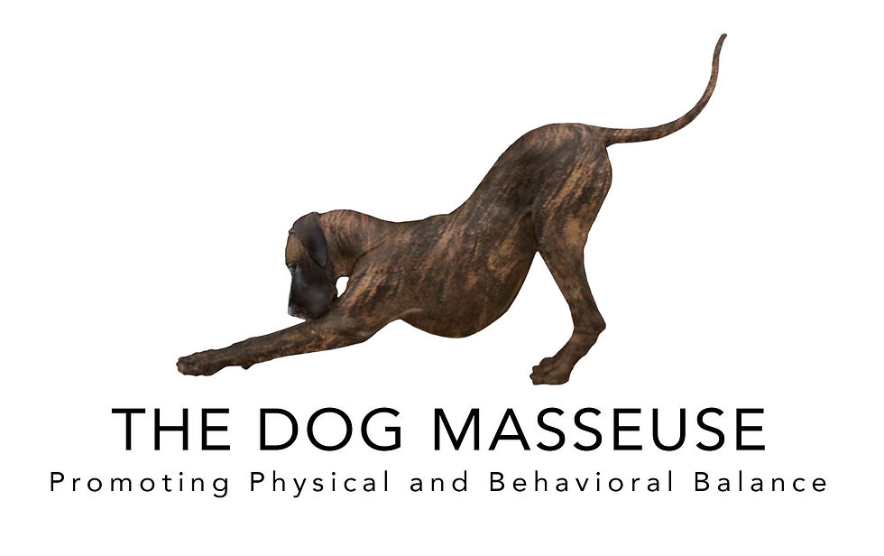 DogMasseuseLarge