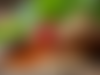 The Surprising Global Shift Towards Pure Ayurvedic Products in Daily Life and Their Benefits Over Chemicals