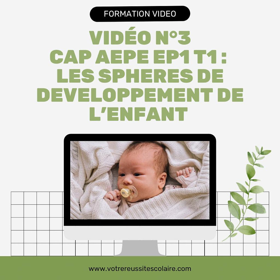 N°3 Vidéo : CAP AEPE EP1 : T1-2A Les sphères de développement