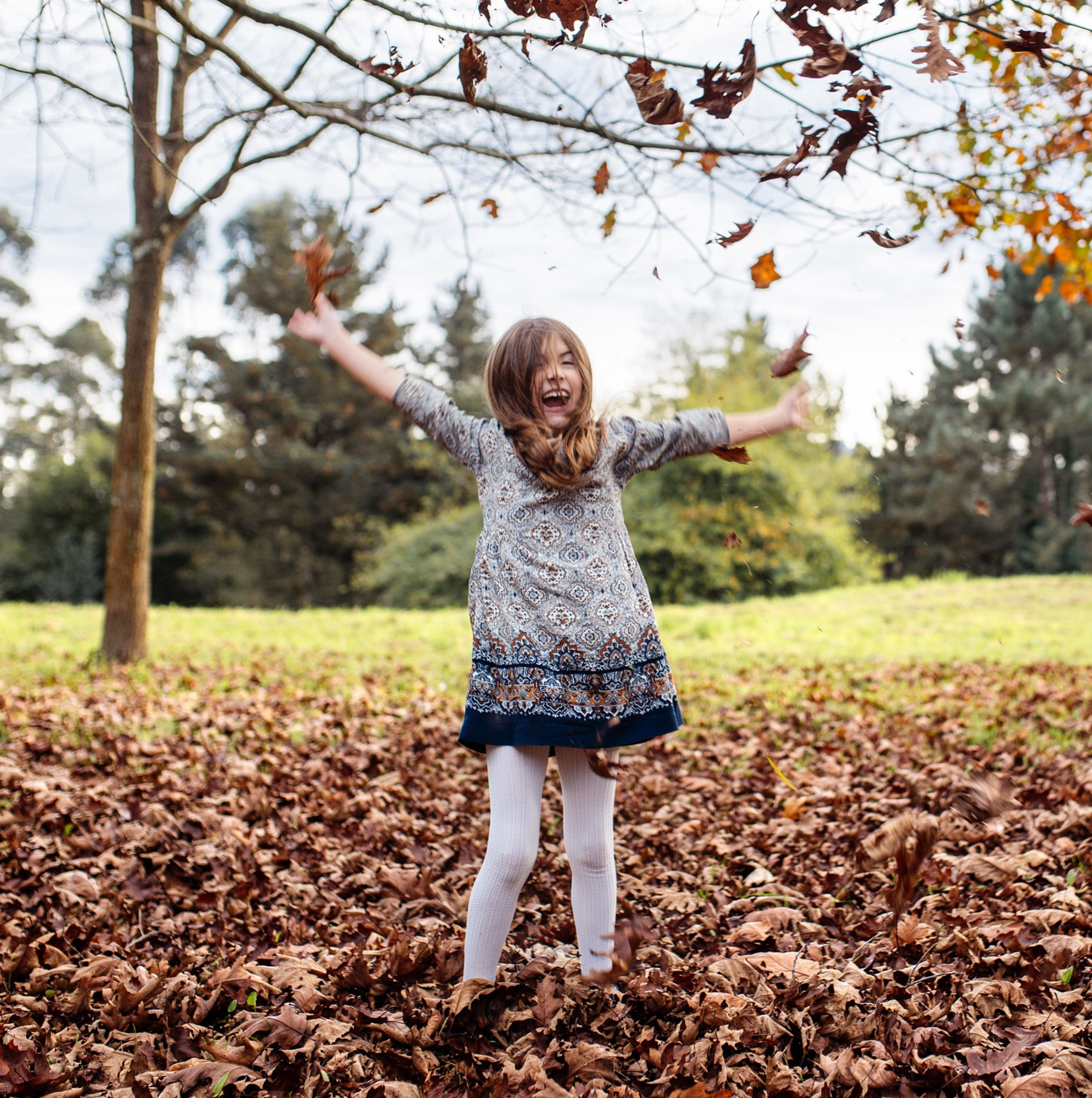 MODÈLE VAE AEPE: ASSMAT modèle Cv, intro, structure, poste, 4 activités