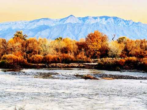 Autumn Rush Beneath the Peaks