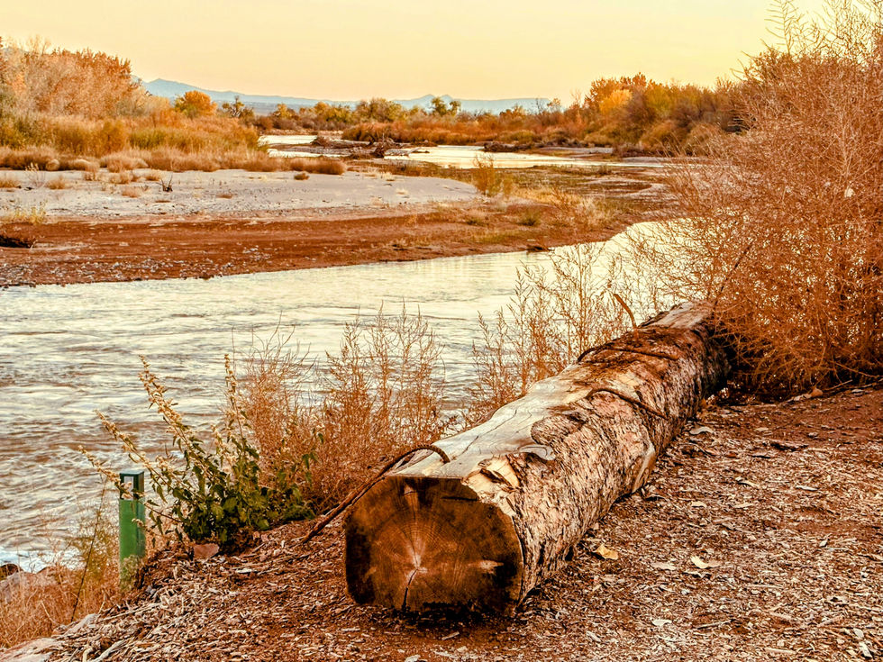 Rivers Edge at Dusk.JPG