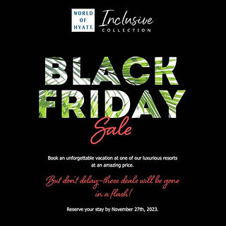 Black Friday Sale