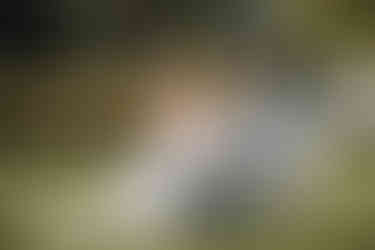 KL!K - Koen & Marijke - Bruiloft Huis Scherpenzeel