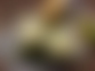 Herbstsuppe - Topinambur Suppe