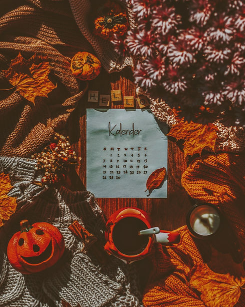 pexels-andrea-imre-10550495.jpg