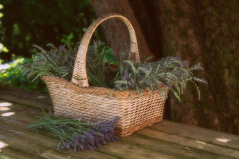 Ich bin so plastikfrei