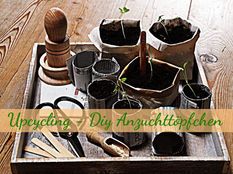 Upcycling - Vom Zeitungspapier und Tetrapak zum Anzuchtöpfchen