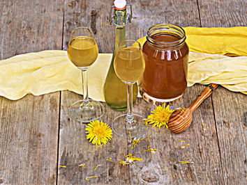 Löwenzahnhonig Met - Göttertrank der modernen Germanen