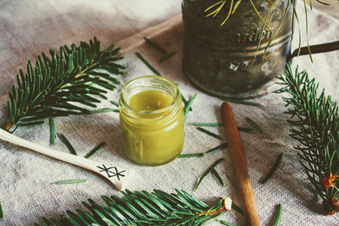 Nadelbaum Salbe - heilsames aus dem Wald