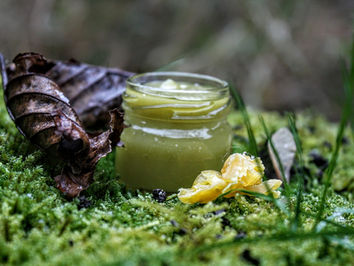 Anti Aging Moossalbe selber machen