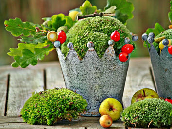 Mabon - Herbsttag,- und Nachtgleiche