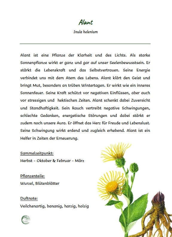 Miniaturbild: E-Book Magie im Rauch