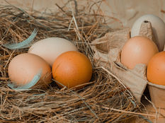 Eier haltbar machen ohne Kühlschrank