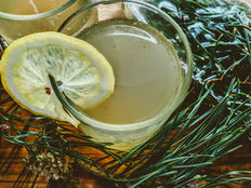 Fermentierte wilde Waldlimo