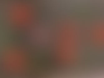 Gesundes Tomatenketchup mit Honig