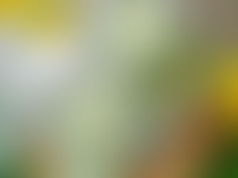 Jahreszeiten (Un)kräutersalz herstellen