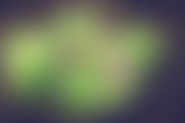 Muntermacherkräuter Smoothie