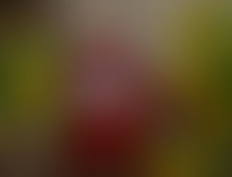 Johanniskrautöl mit großer Heilkraft