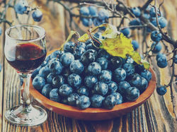 Spätherbstlicher Likör aus Schlehen oder ein fruchtiger Glühwein