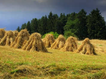 Schnitterinfest- Lammas