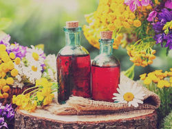 Der Trank der Göttinnen - Kräuterwein zu Beltane