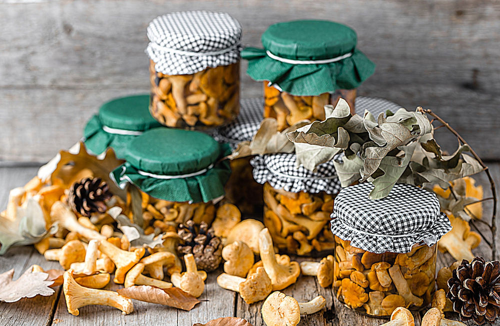 Eierschwammerl-Pfifferlinge haltbar machen inklusive 3 inspirierende