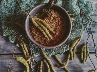 Haselkätzchen Parmesan - die vegane Alternative
