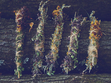 Sonnwendkräuter - Sonnenkräuter