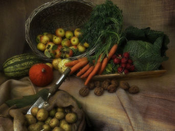 Regional - Saisonal - Ökologisch und Biologisch