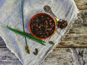 Eingelegte Spitzwegerichknospen als Anti Pasti