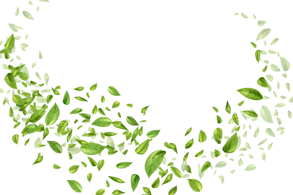AdobeStock_449259239.png