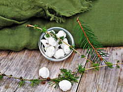 Waldzuckerl aus Lärchen,- und Fichtenblüten