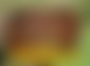 Komposthaufen selber bauen