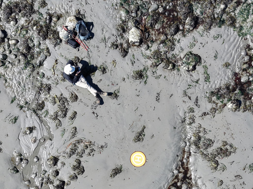 drone landing view