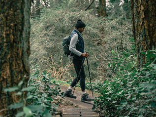 Families' Guide to Adventure: Top Hiking Destinations in the United States