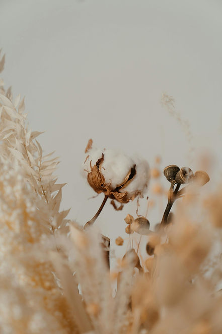 pexels-cottonbro-4273425.jpg